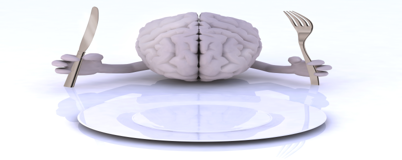 brainfood-voeding-waar-je-brein-van-smult